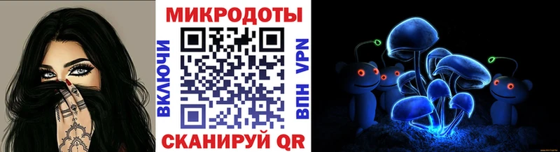 наркошоп  Дмитров  Галлюциногенные грибы Psilocybe 