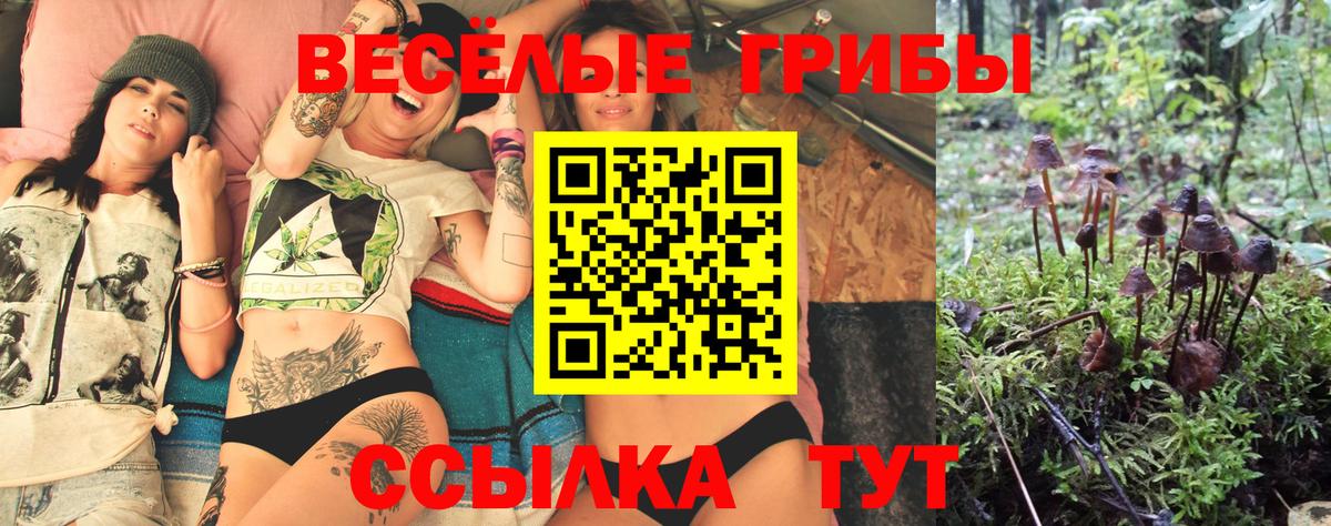 Галлюциногенные грибы Magic Shrooms Дмитров