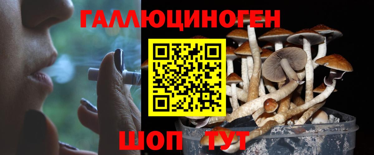 закладки  Галлюциногенные грибы мицелий  Вход с VPN  Дмитров 